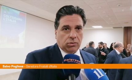 Pogliese "Il governo Meloni &egrave; al fianco degli agricoltori"