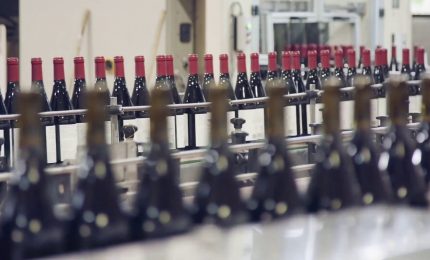 Il vino Made in Italy tra export e nuove sfide