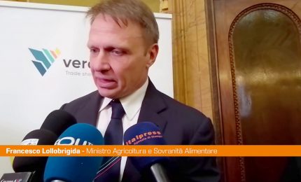 Lollobrigida "Dazi non sono soluzione, ma riflettere su prezzi"
