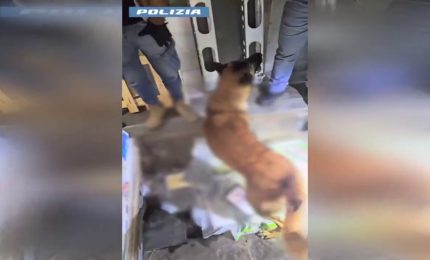 Traffico di droga nella piana Gioia Tauro, sequestrati 137 kg cocaina