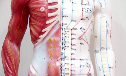 Un congresso nazionale sulla lipodistrofia