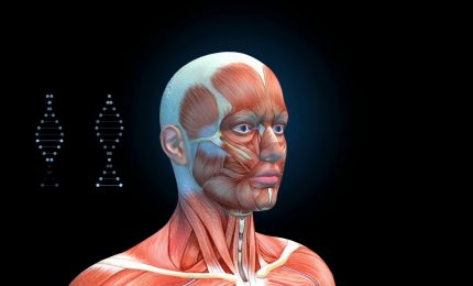 Paralisi facciale, ecco come si manifesta