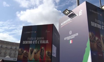 Dazi Usa bocciati dal Presidente della Repubblica Mattarella