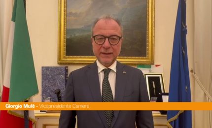 Mul&egrave; "La famiglia di Matteo Pietrosanti ha diritto ad avere la verit&agrave;"