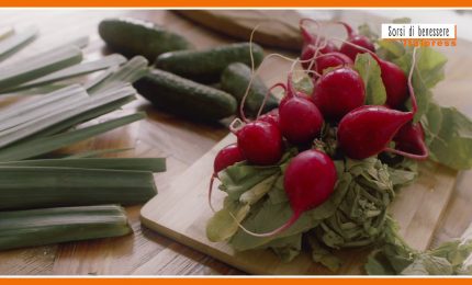 Sorsi di benessere - Crema proteica con barbabietole e fagioli