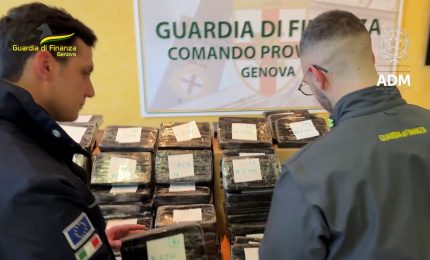 Sequestrati al porto di Genova 240 chili di cocaina