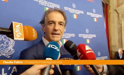 Sisma 2016, Feltrin "Utilizzo legno in edilizia occasione importante"