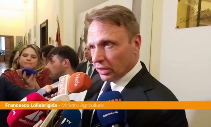 Sisma 2016, Lollobrigida "Utilizzo legno in edilizia esempio virtuoso"