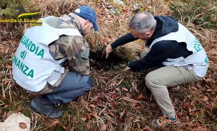 Belluno, ritrovati otto ordigni bellici in un'area boschiva