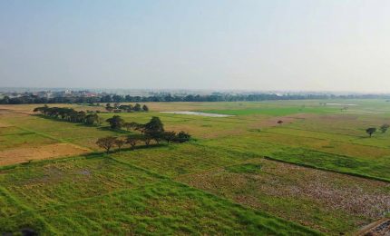 Cambiamenti climatici, a rischio 1 coltura su 3