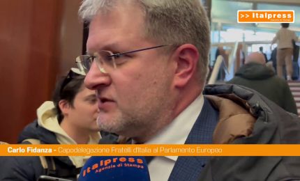 Nato, Fidanza "Ritrovare sintonia tra pilastro Europa e quello Usa"