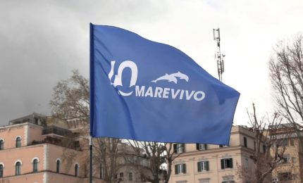 Marevivo festeggia 40 anni di impegno per il mare