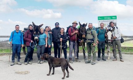 A Reggio Emilia l&rsquo;asino di Pantelleria al centro dell&rsquo;offerta turistica