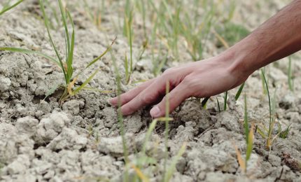 I cambiamenti climatici hanno impatti irreversibili