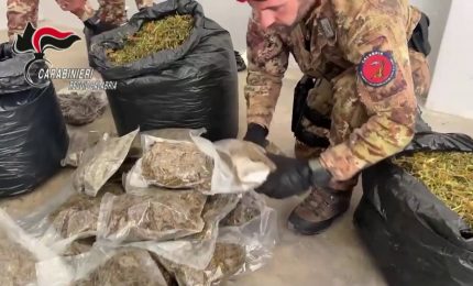 30 kg di marijuana nascosti in casa nella locride, arrestato un 35enne
