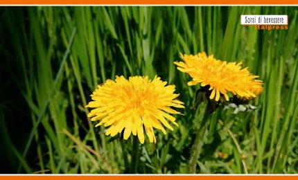 Sorsi di benessere - Una tisana depurativa per i cambi di stagione