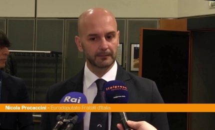 Nucleare, Procaccini "Il punto non &egrave; 'se', ma 'quando'"