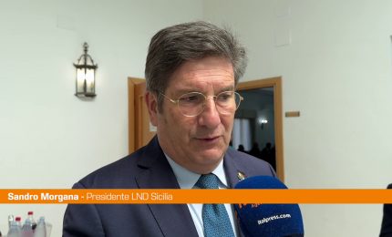 Torneo delle Regioni, Morgana "Nostro impegno anche sociale"