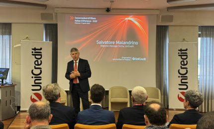 Sicilia tra le principali regioni italiane per produzione olio d&rsquo;oliva