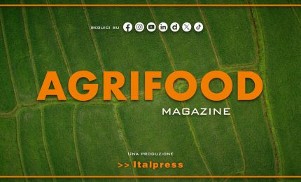 Agrifood Magazine - 9/4/2025