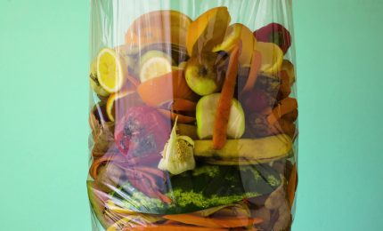 Spreco alimentare, servono misure pi&ugrave; efficaci