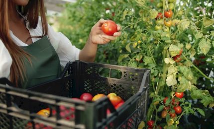 L&rsquo;agroalimentare traina l&rsquo;economia italiana
