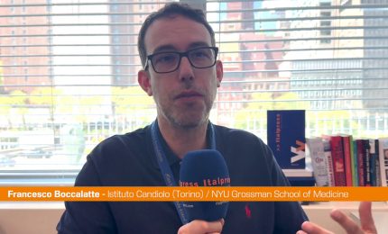 Fuga di cervelli. Una storia esemplare: dall'Italia agli Usa e ritorno