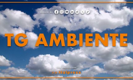 Tg Ambiente - 6/4/2025