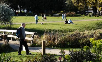 I comuni italiani puntano sul verde