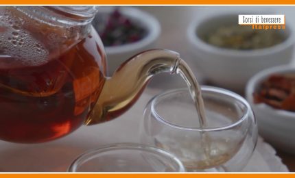 Sorsi di Benessere - Cubetti di tisana per aromatizzare l'acqua