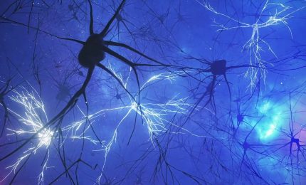 Uno studio svela l'attivit&agrave; cerebrale responsabile della memoria