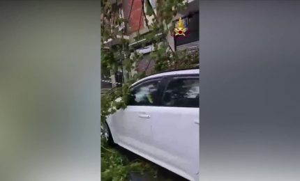 Maltempo in Lombardia, a Milano alberi caduti e allagamenti