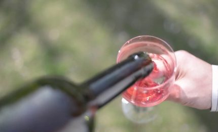 Via libera al disegno di legge che tutela l'agroalimentare