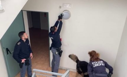 Catania, sequestrata marijuana nascosta in una plafoniera