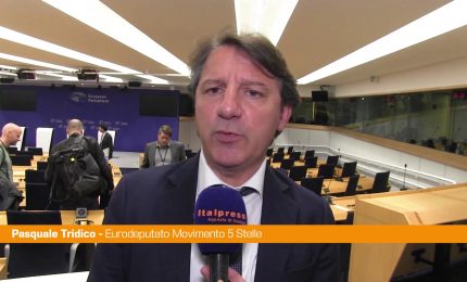 Dazi, Tridico "Ue non deve avere paura di prendere contromisure"