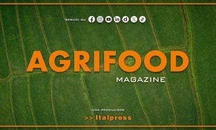 Agrifood Magazine - 30/4/2025