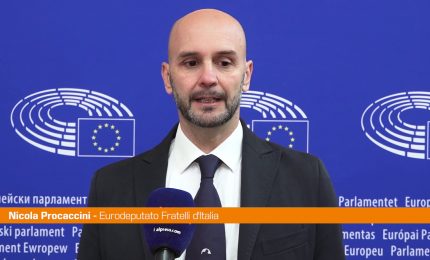 Ue, Procaccini "Per la difesa replicare il modello Invest-Eu"