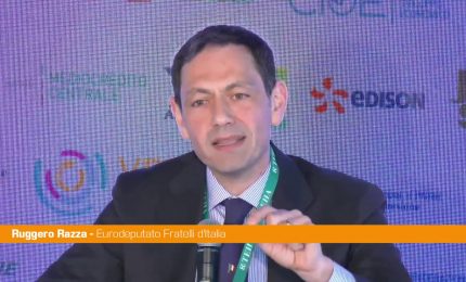 Razza "Nel 2026 possibile avvio embrione Universit&agrave; del Mediterraneo"