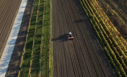 Agroalimentare sempre pi&ugrave; attrattivo per i giovani