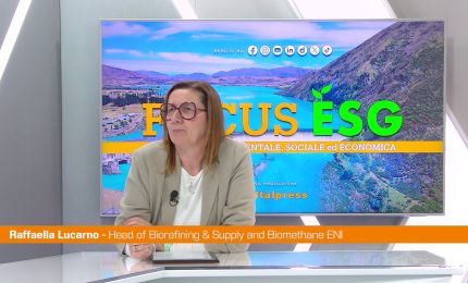 Come si fa l'HVO, il carburante della sostenibilit&agrave;