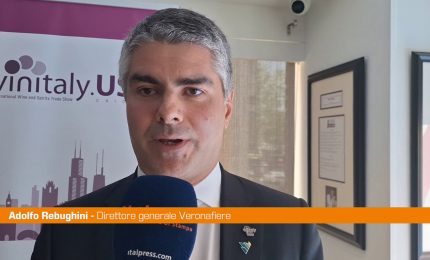 Dazi, Rebughini "L'industria del vino &egrave; estremamente resiliente"