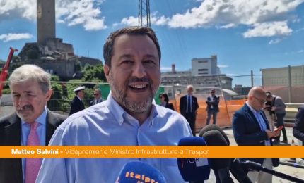 Fecondazione assistita, Salvini "Da Consulta sentenza politica"