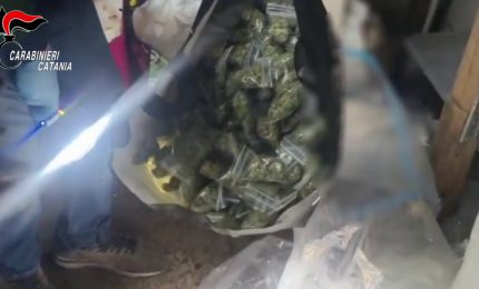 Scoperto un deposito di droga in un garage a Catania, un arresto