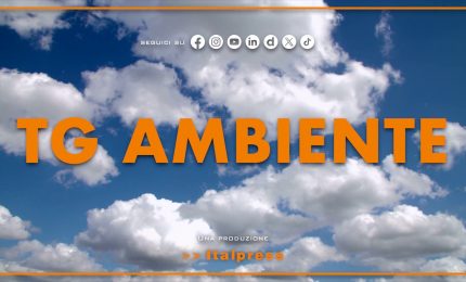 Tg Ambiente - 4/5/2025