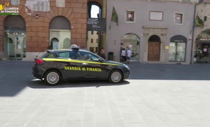 Foligno, scoperto allevamento di cani sconosciuto al fisco