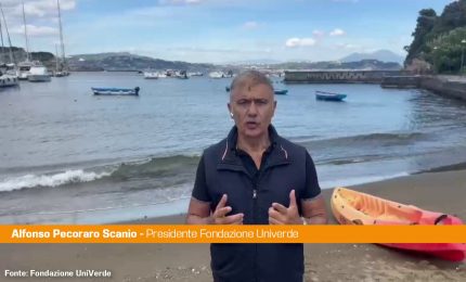 Pecoraro Scanio a difesa del mare &ldquo;Tutela per un Mediterraneo pulito"