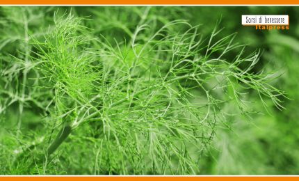 Sorsi di Benessere - Un pesto gustoso e leggero