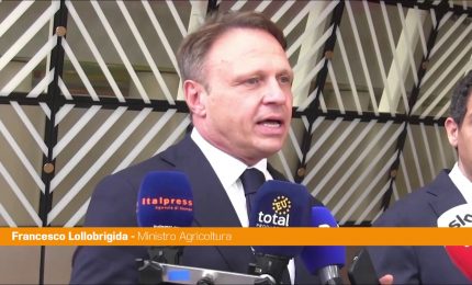 Lollobrigida "La legge sulla deforestazione va rivista"