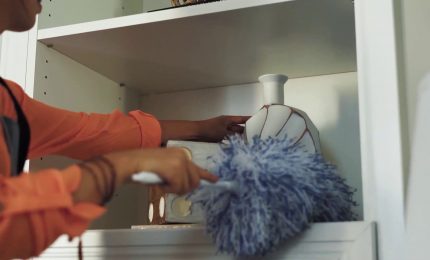 Trovati pesticidi nella polvere domestica