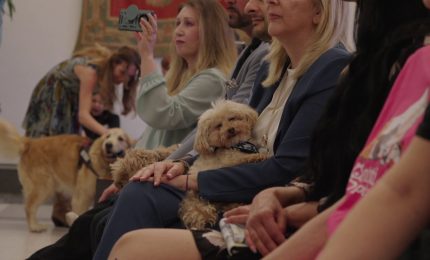 Animali, assegnati i premi Penna d'Oca del Campidoglio